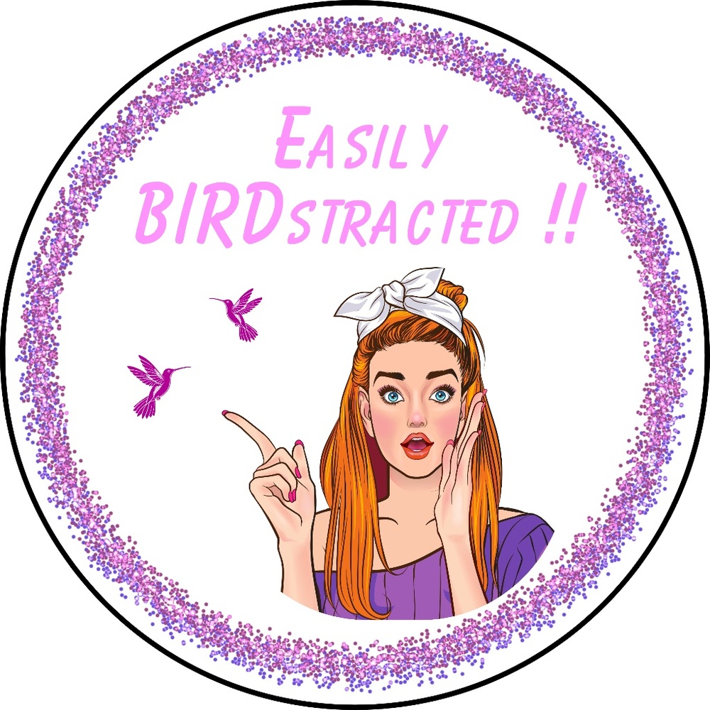EASILY BIRDstracted Sticker (Bundle ANY 3 for $10)